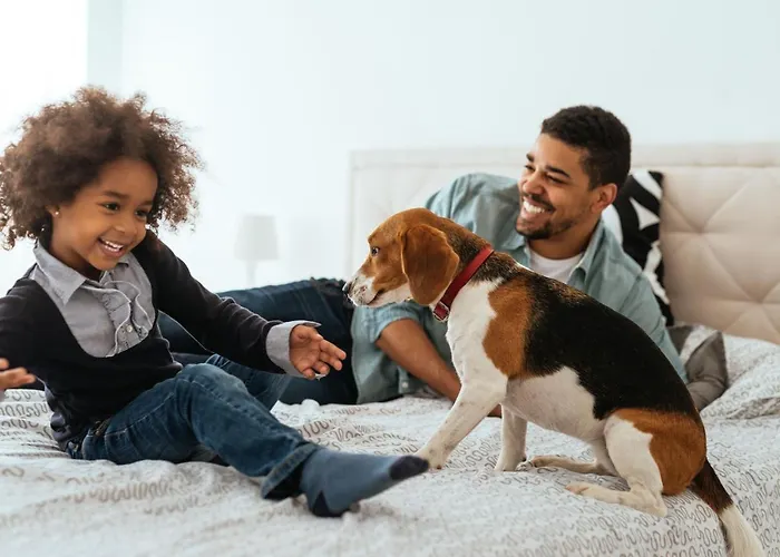巴黎拉克莱芙香榭丽大街服务公寓 • 雅诗阁臻选 5* 巴黎